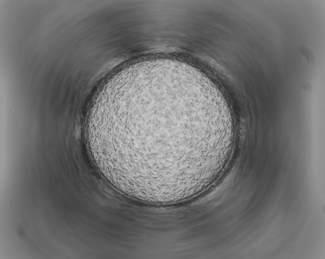 X0000113301257200910131040