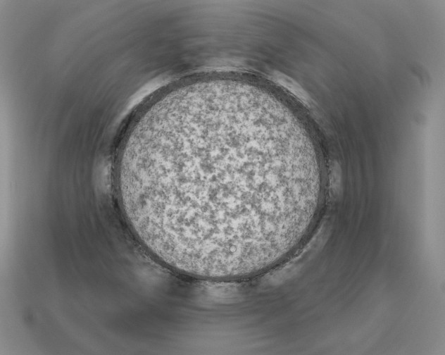 X0000113301258200910131040