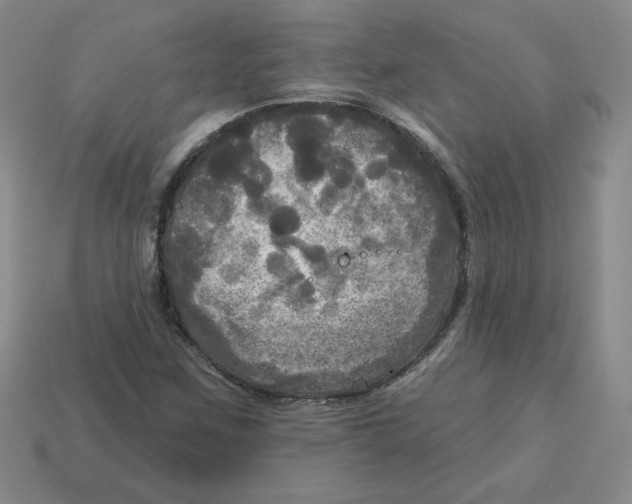 X0000113301259200910131040