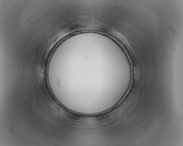X0000113301260200910131040