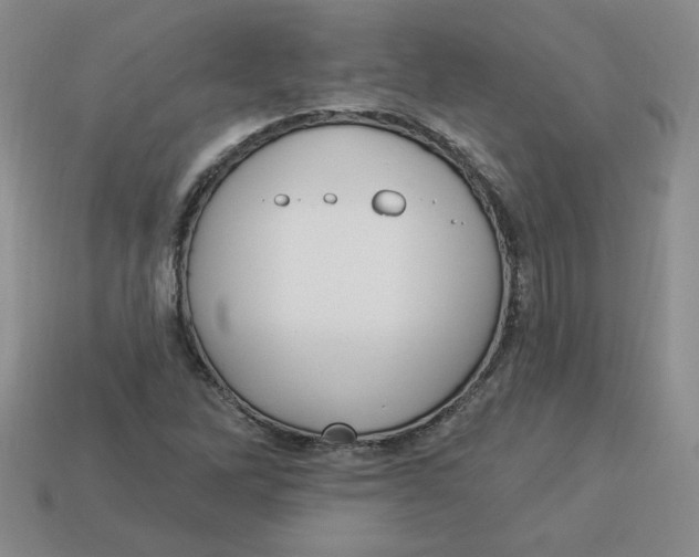 X0000113301262200910131040