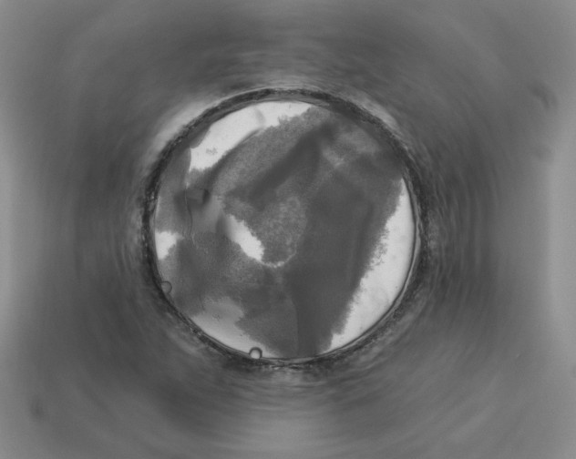 X0000113301263200910131040