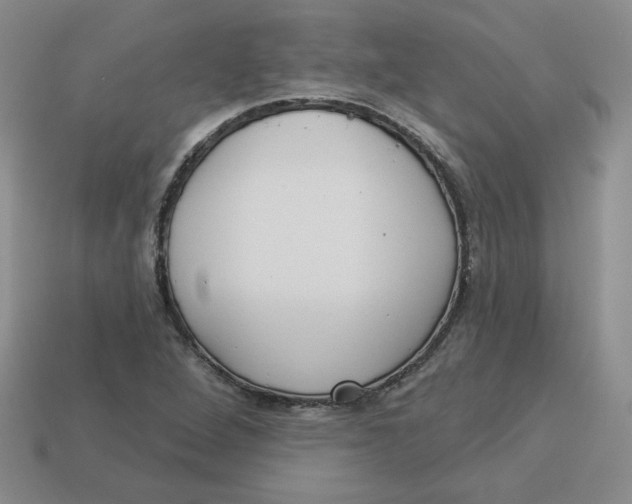 X0000113301264200910131040