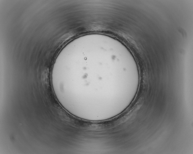 X0000113301265200910131040