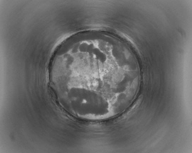 X0000113301267200910131040