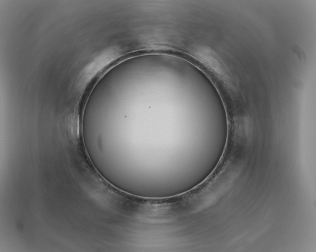 X0000113301269200910131040
