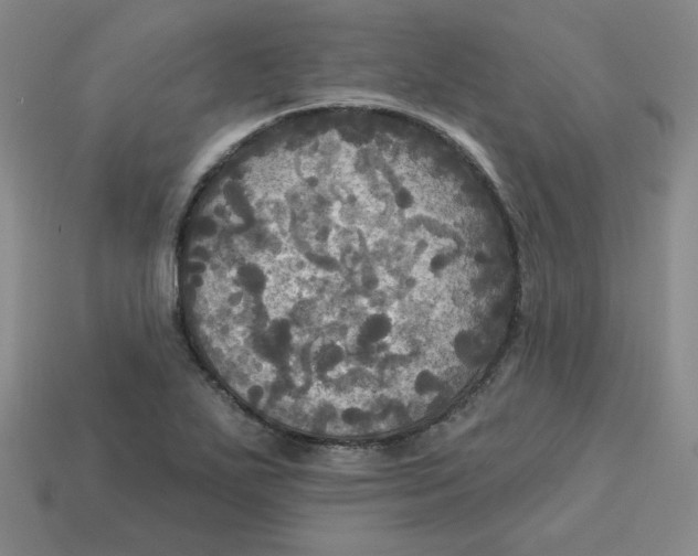 X0000113301271200910131040