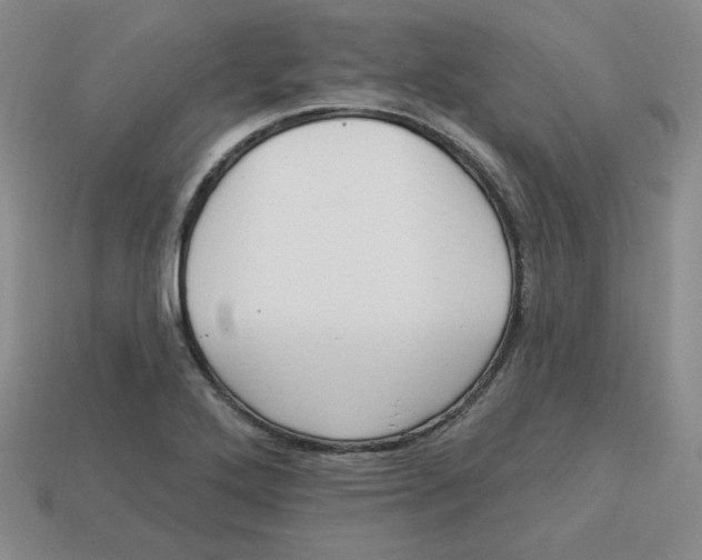 X0000113301272200910131040