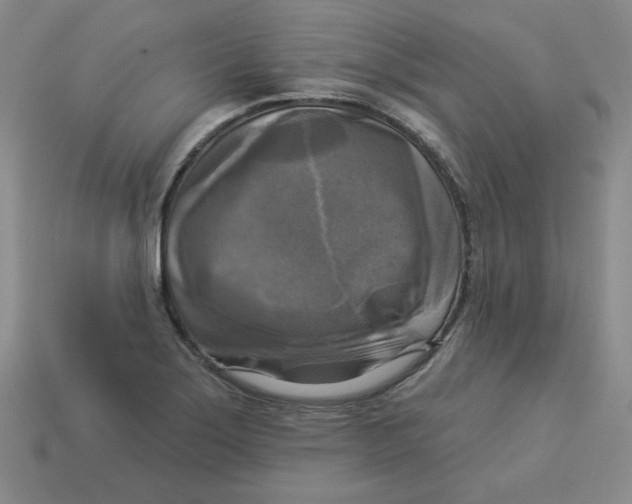 X0000113301275200910131040