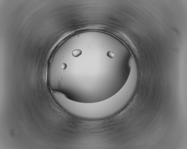 X0000113301276200910131040