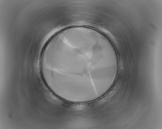 X0000113301278200910131040