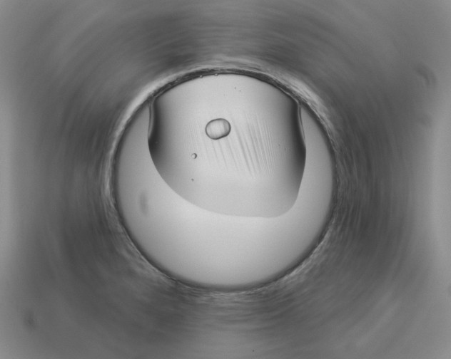 X0000113301280200910131040