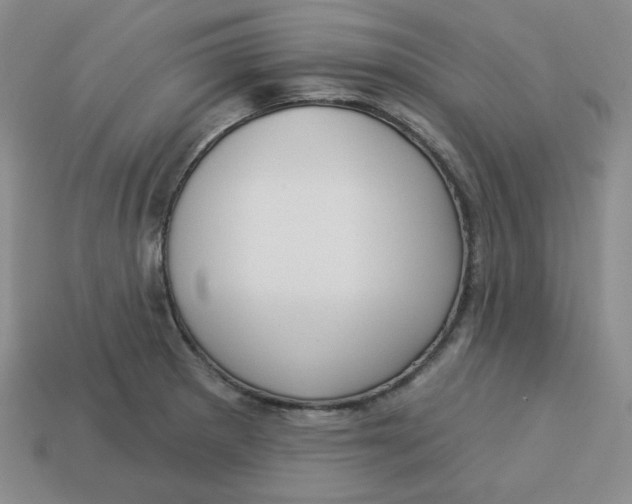 X0000113301281200910131040