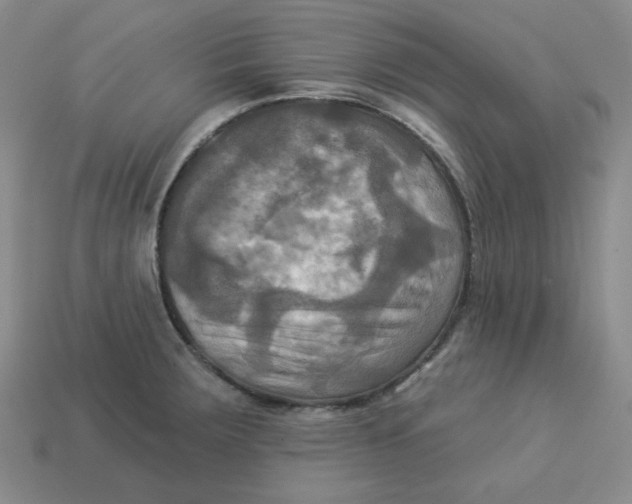 X0000113301283200910131039