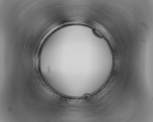 X0000113301284200910131039