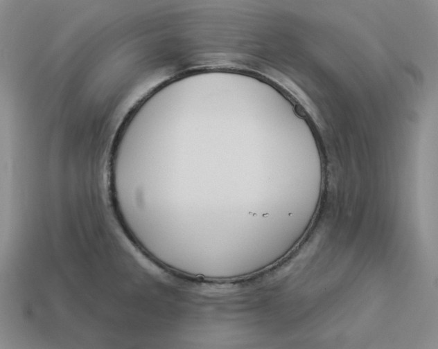 X0000113301285200910131039