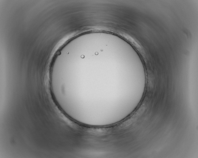 X0000113301286200910131039