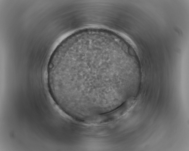 X0000113301287200910131039
