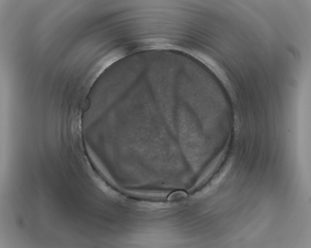 X0000113301289200910131039