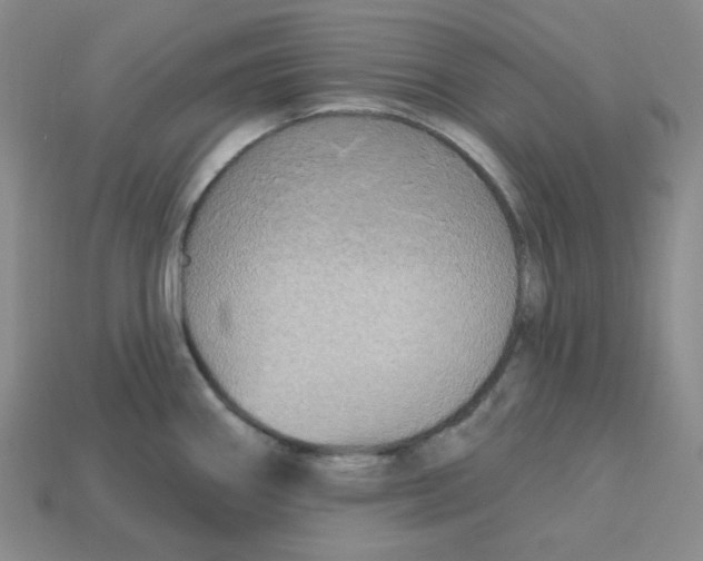 X0000113301290200910131039