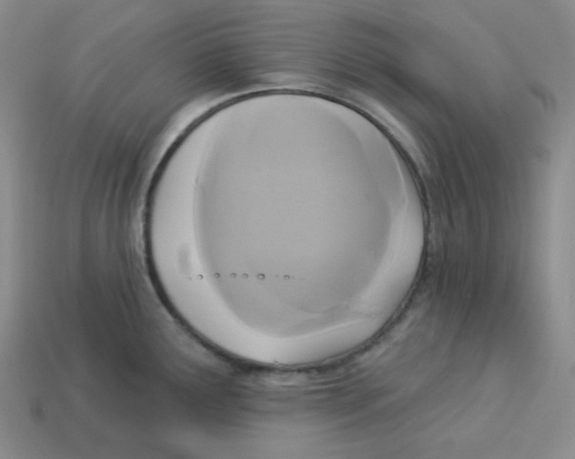 X0000113301291200910131039