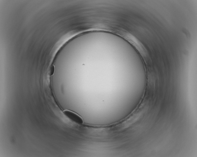 X0000113301292200910131039