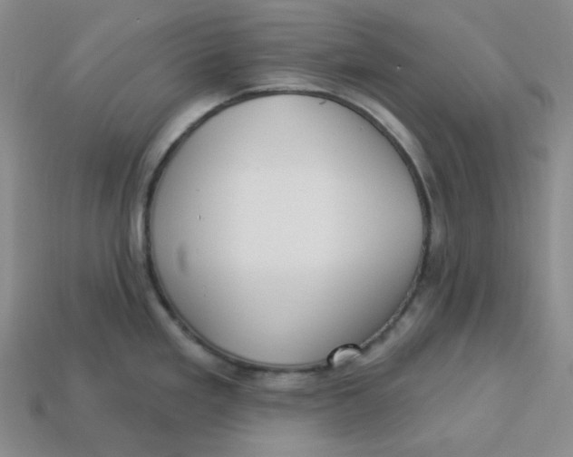X0000113301293200910131039