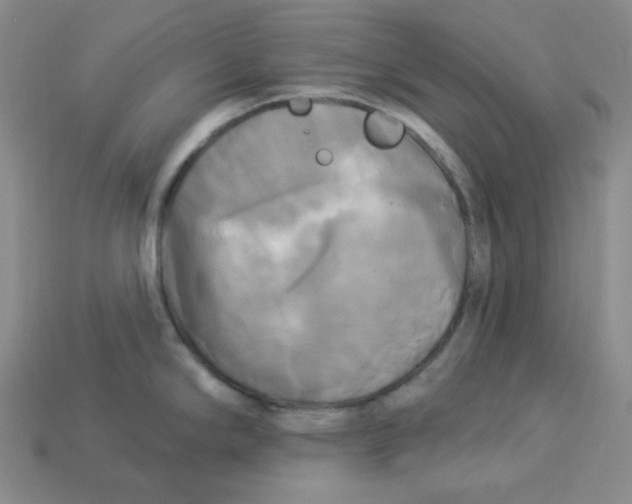 X0000113301294200910131039