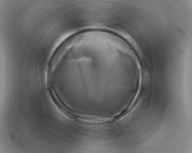 X0000113301295200910131039