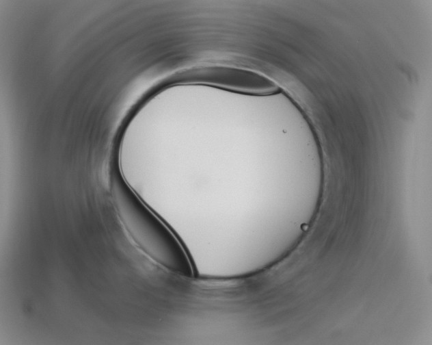 X0000113301296200910131039