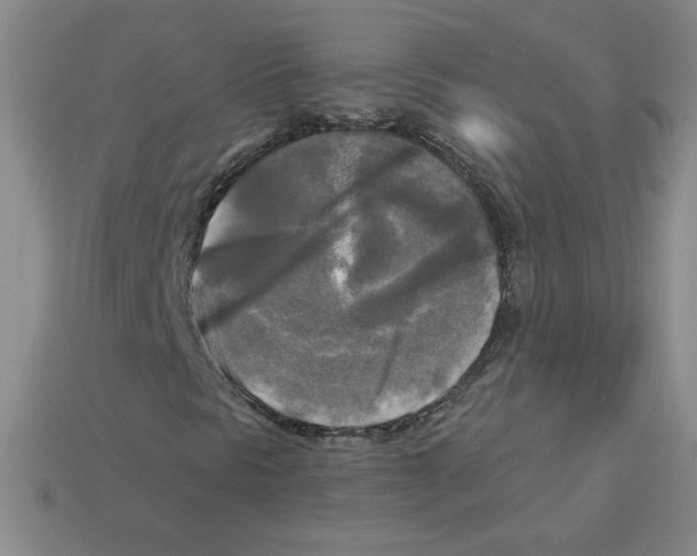 X0000113301297200910131039