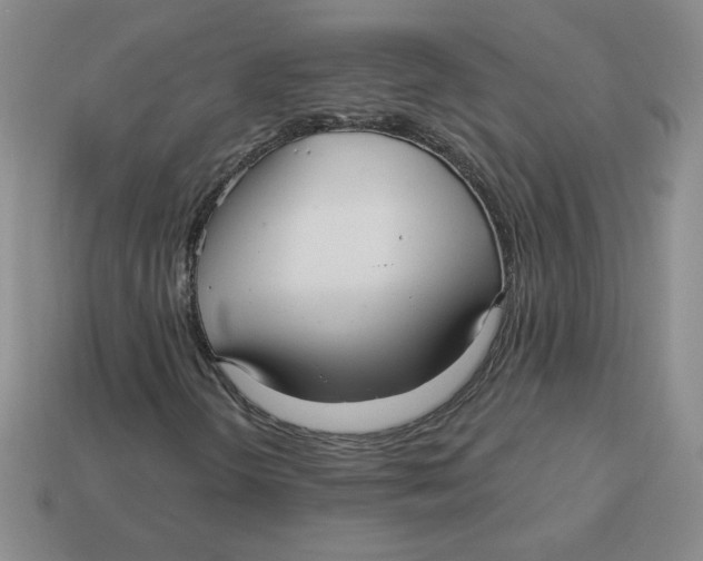 X0000113301298200910131039