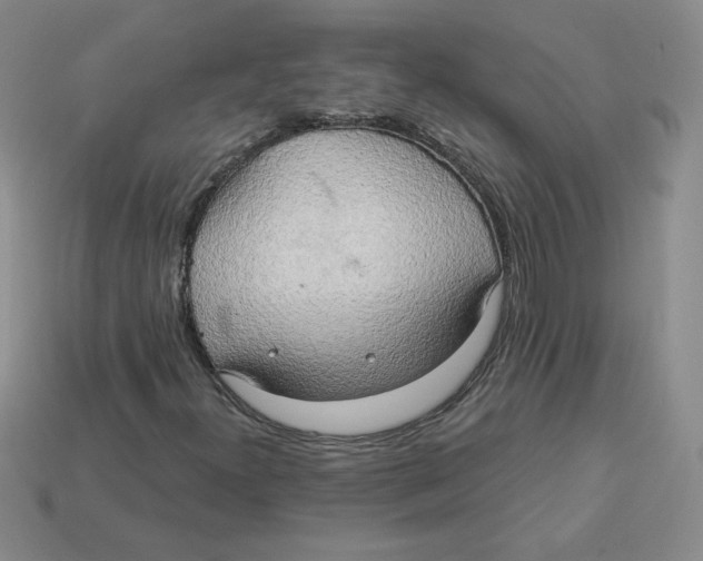 X0000113301300200910131039