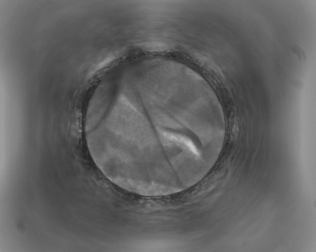 X0000113301301200910131039