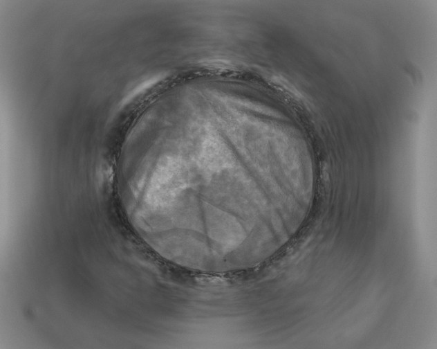 X0000113301302200910131039
