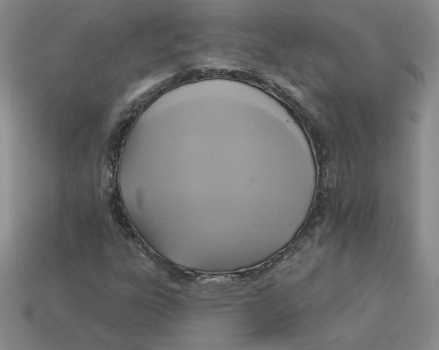 X0000113301303200910131039