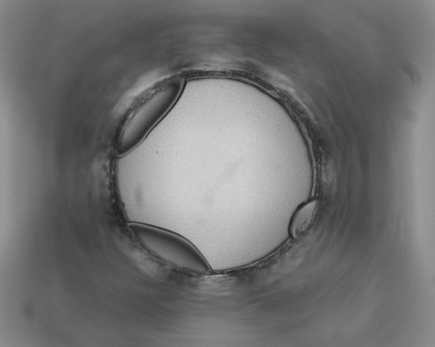 X0000113301304200910131039