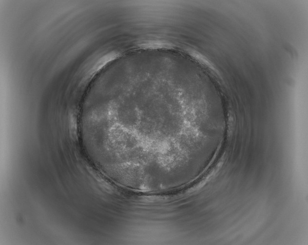 X0000113301305200910131039