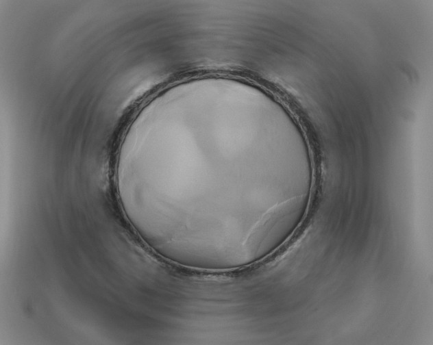 X0000113301306200910131039