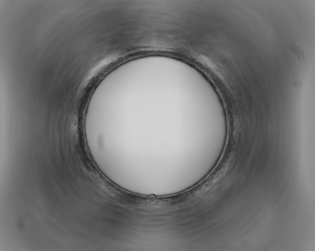 X0000113301307200910131039