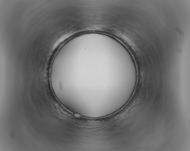 X0000113301308200910131039