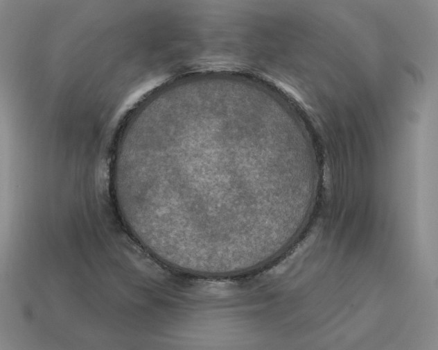 X0000113301309200910131039