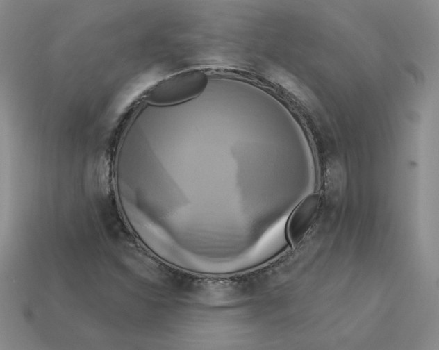 X0000113301310200910131039