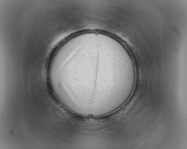 X0000113301311200910131039