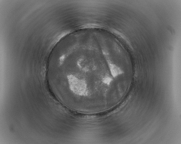 X0000113301313200910131039
