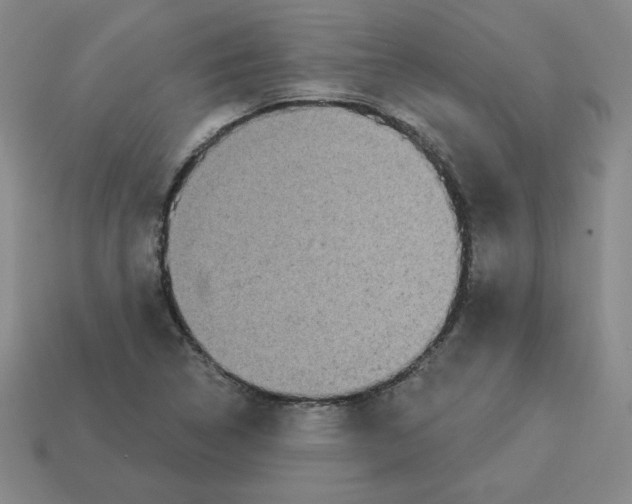 X0000113301314200910131039