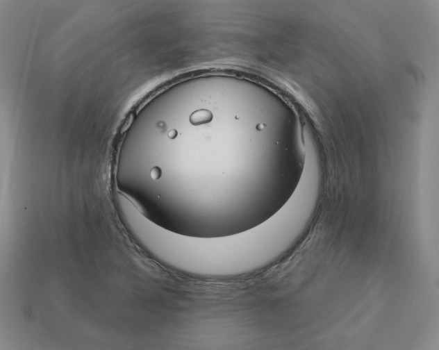 X0000113301316200910131039