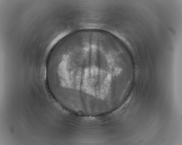 X0000113301317200910131039