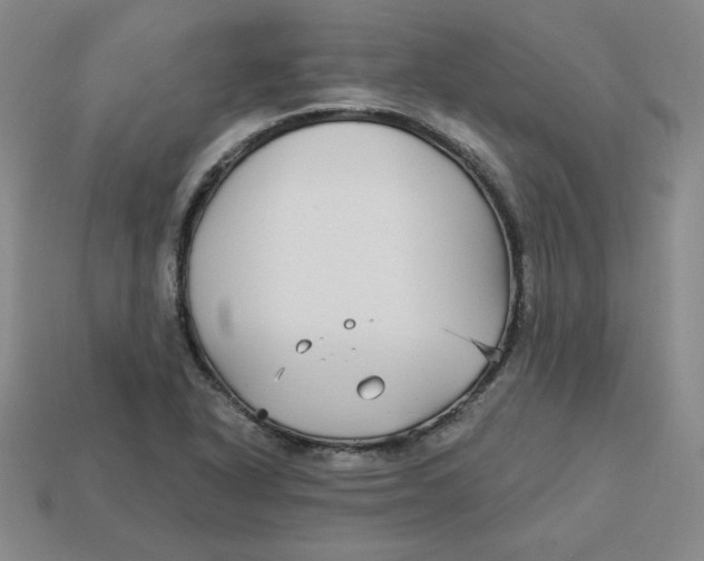 X0000113301318200910131039