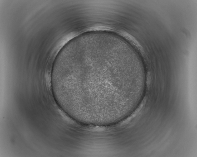 X0000113301321200910131039